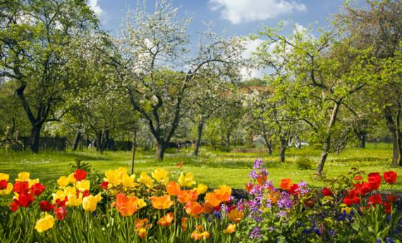 Atelier fleuriste Aix Les-Milles